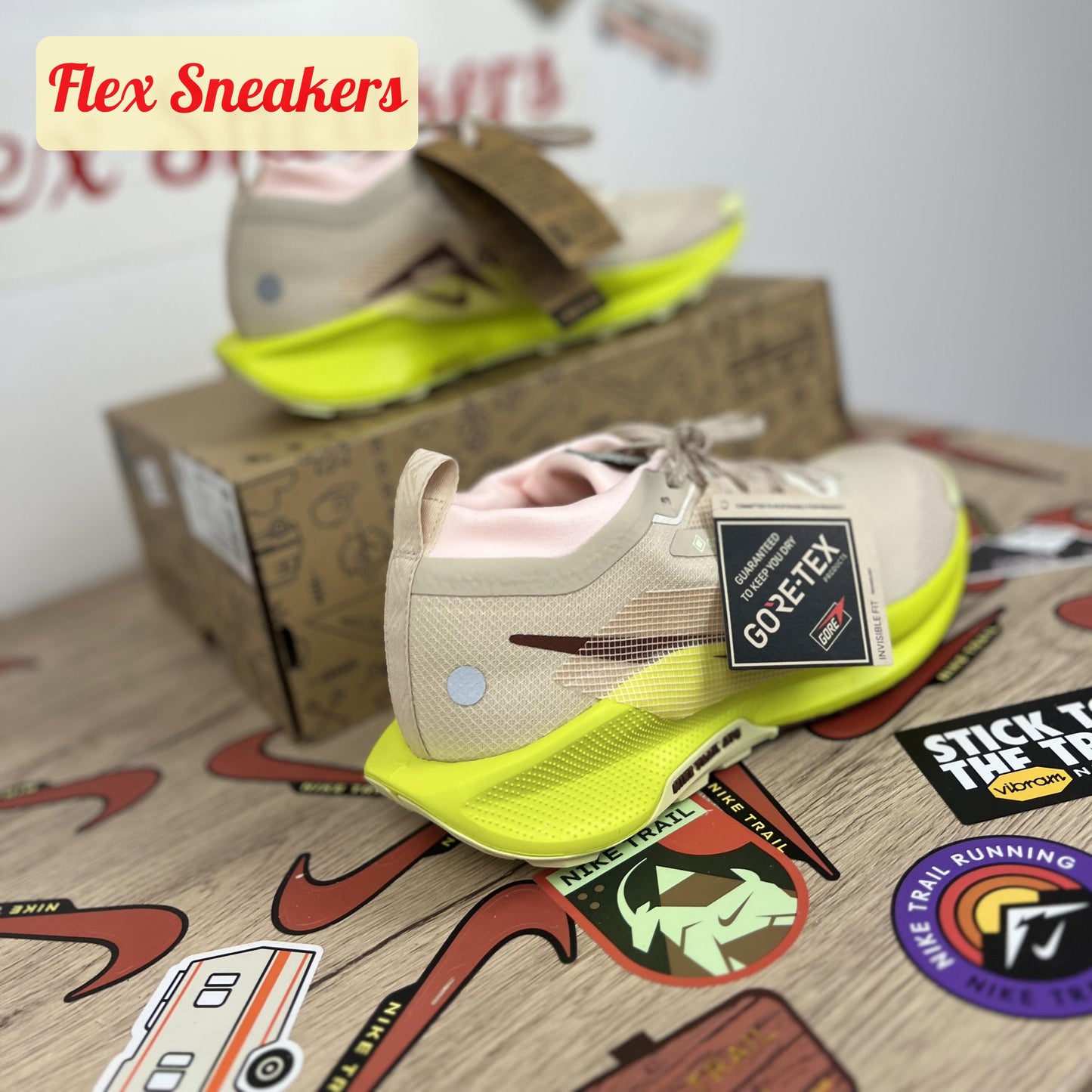 Pegasus Trail 5 GTX Sandrift