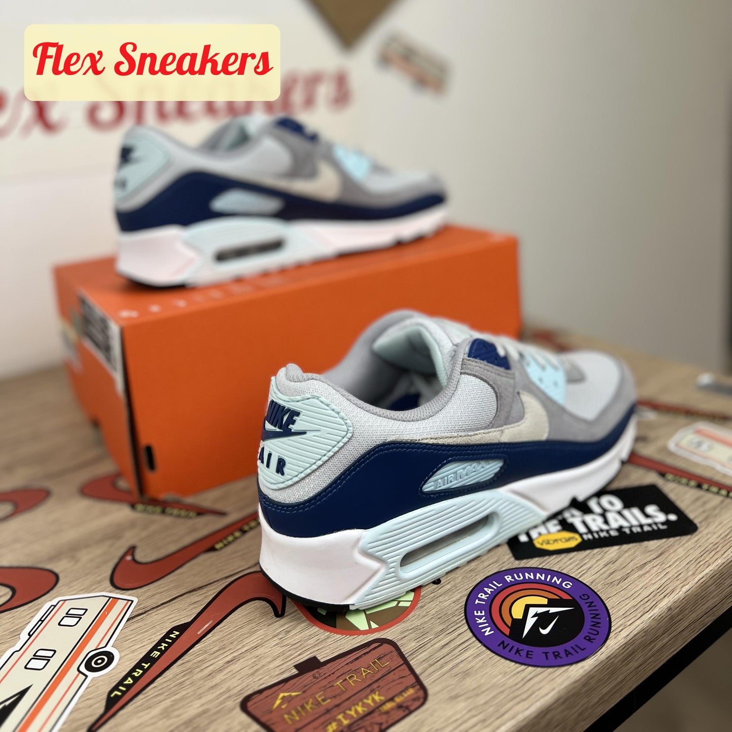 Air Max 90 Pure-Platinum/Court-Blue