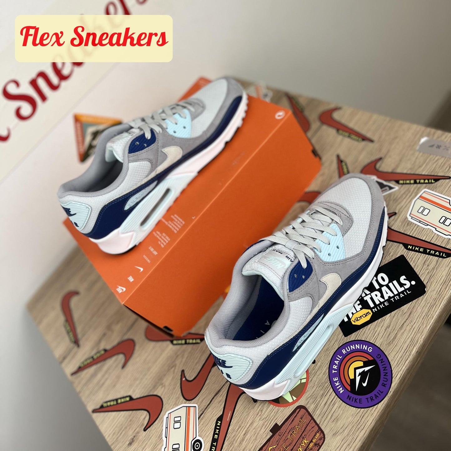 Air Max 90 Pure-Platinum/Court-Blue
