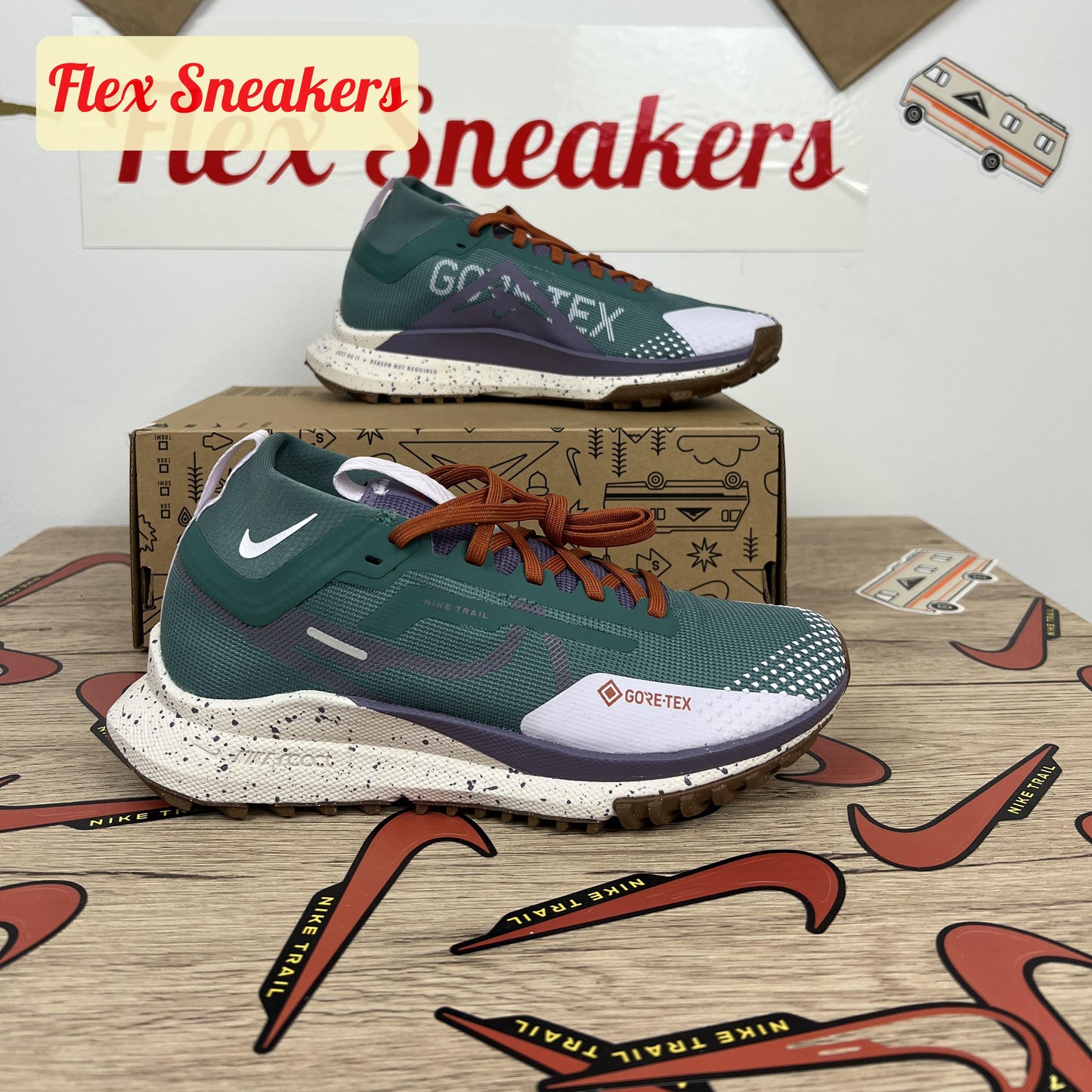 React Pegasus Trail 4 GTX Bicoastal