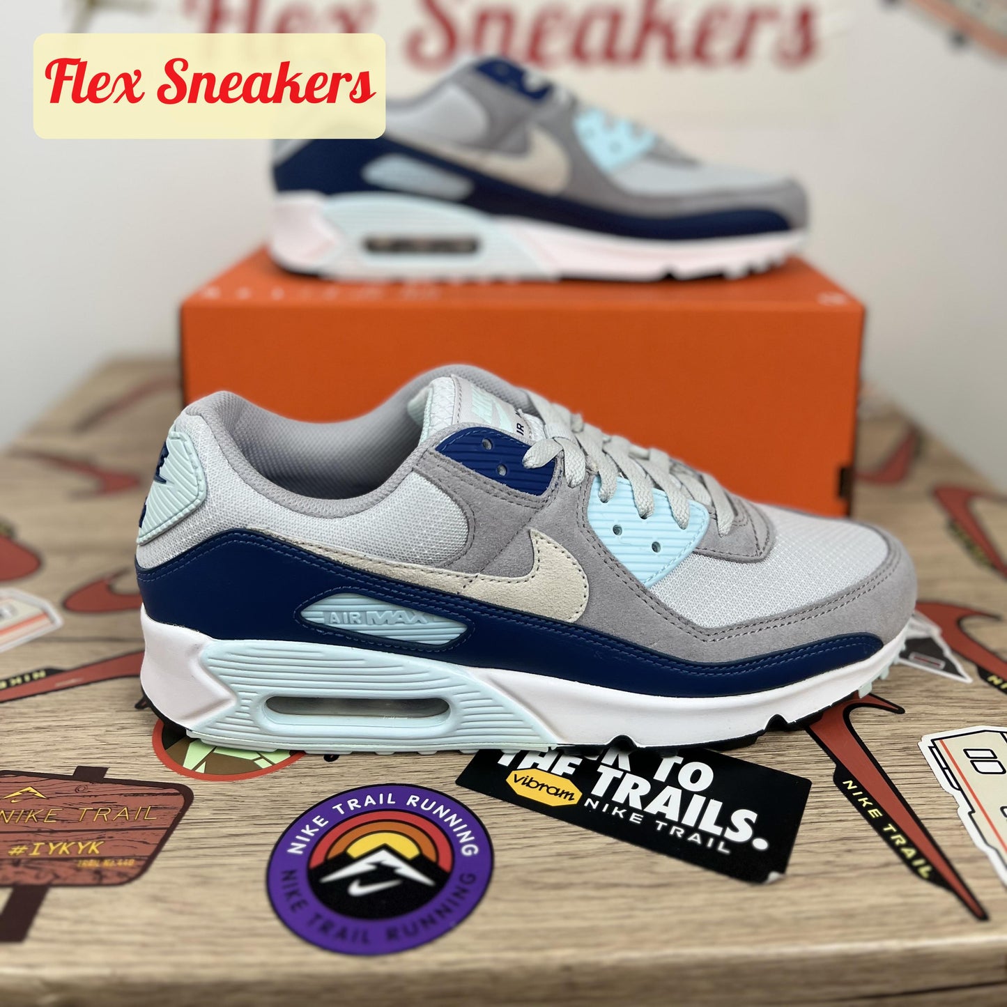Air Max 90 Pure-Platinum/Court-Blue