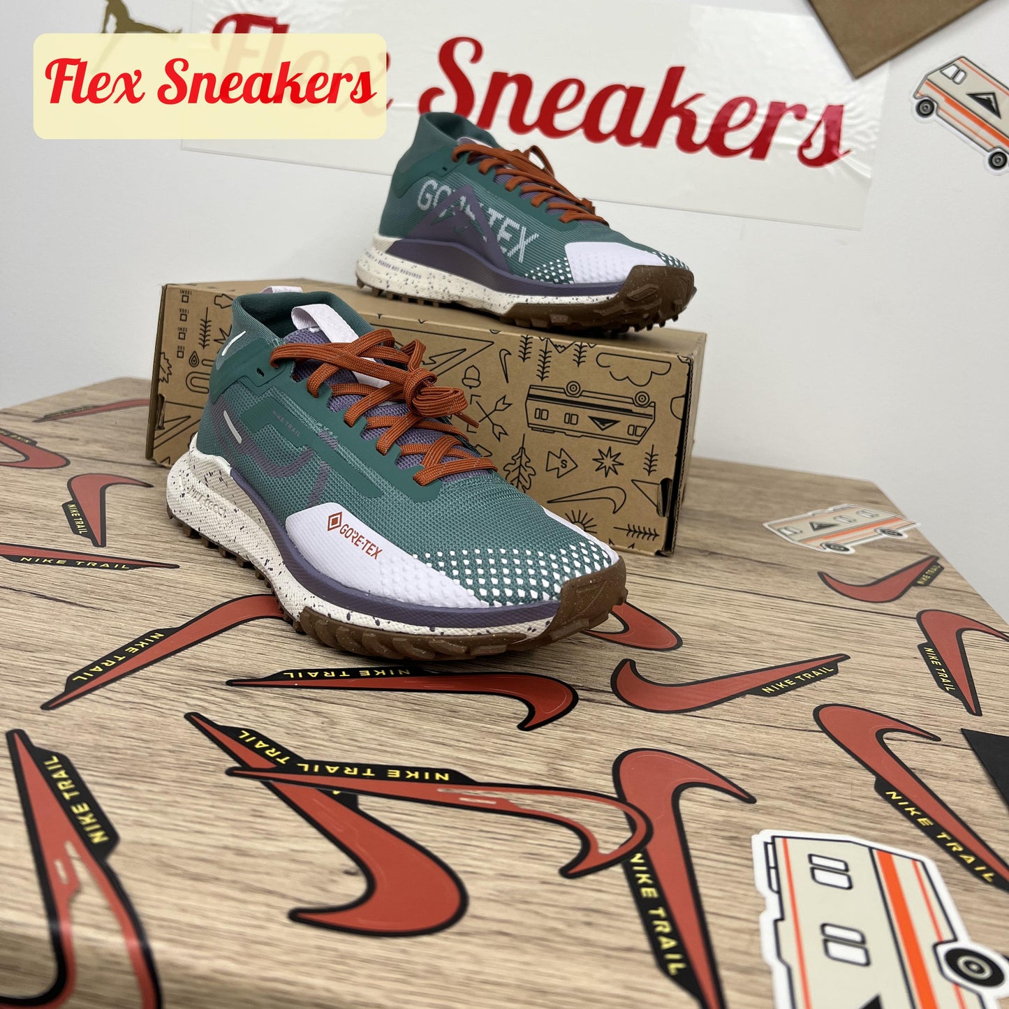 React Pegasus Trail 4 GTX Bicoastal