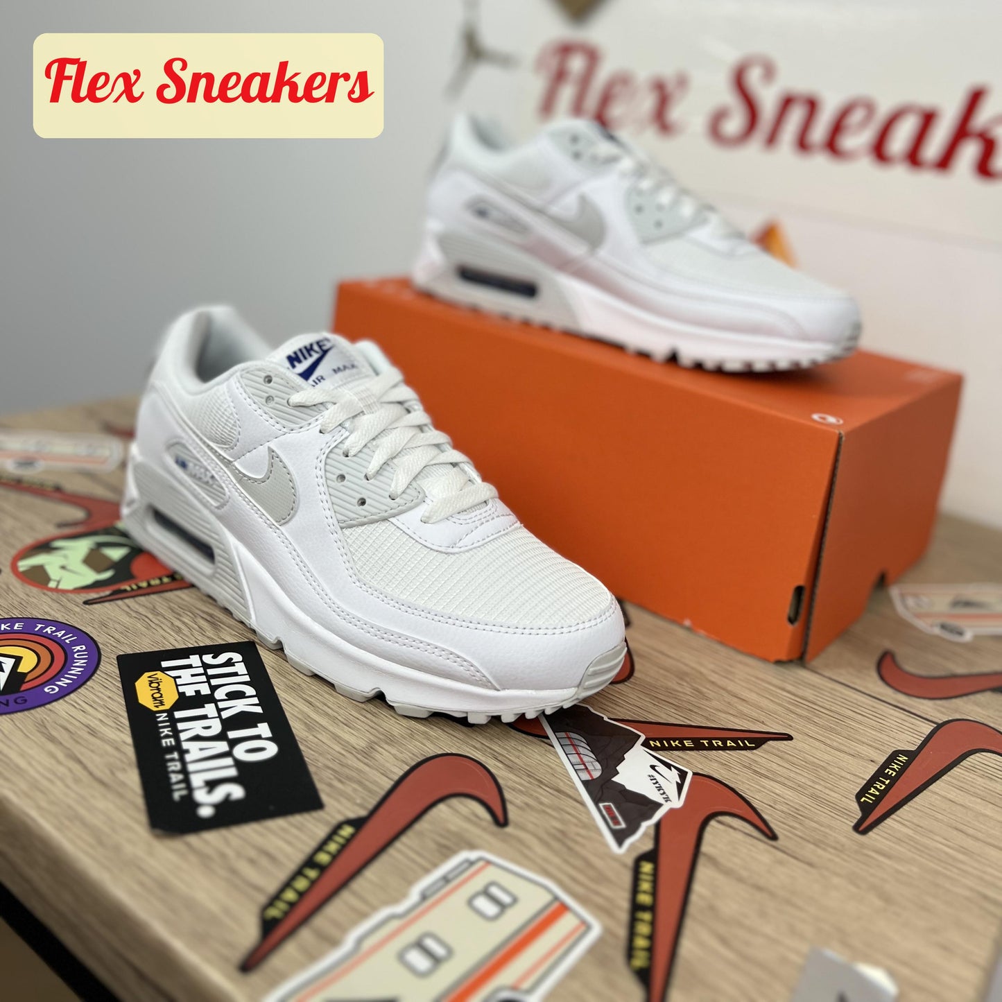 Air Max 90 Photon-Dust