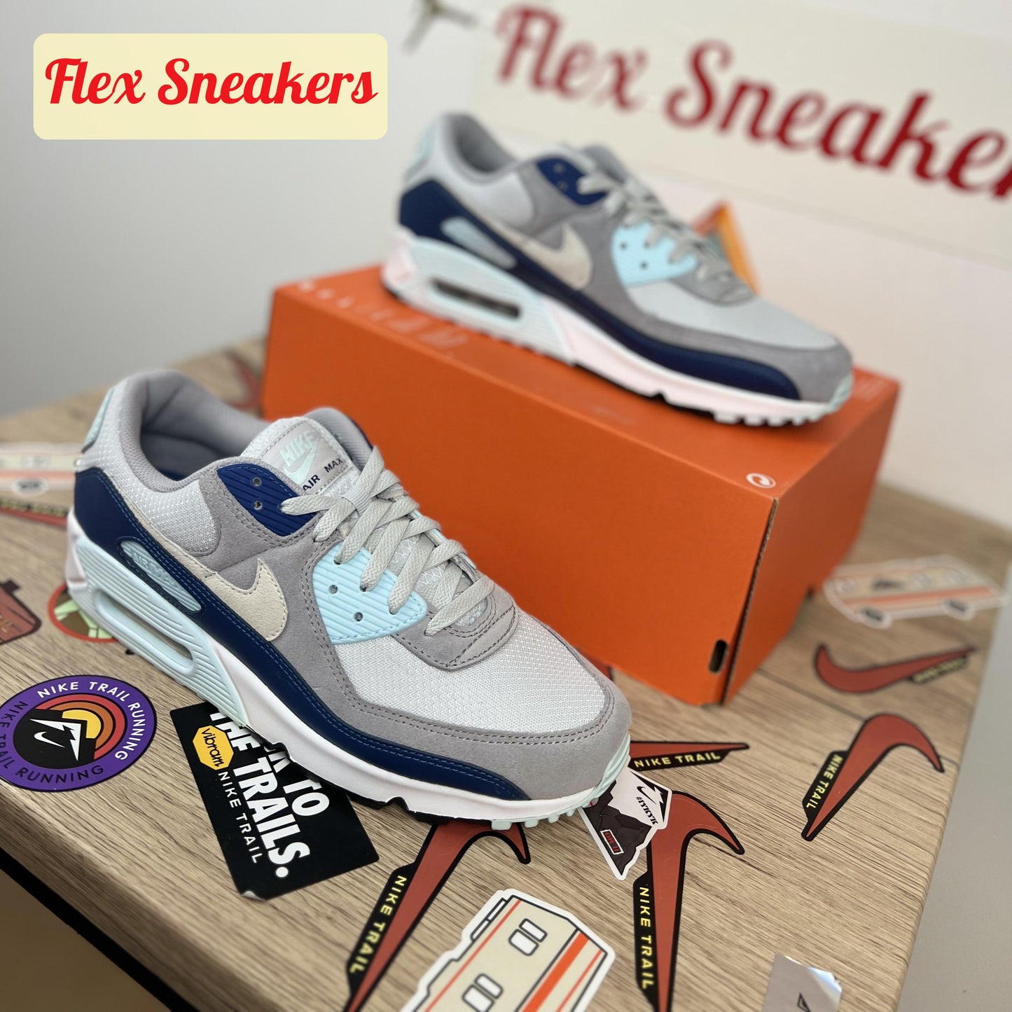 Air Max 90 Pure-Platinum/Court-Blue