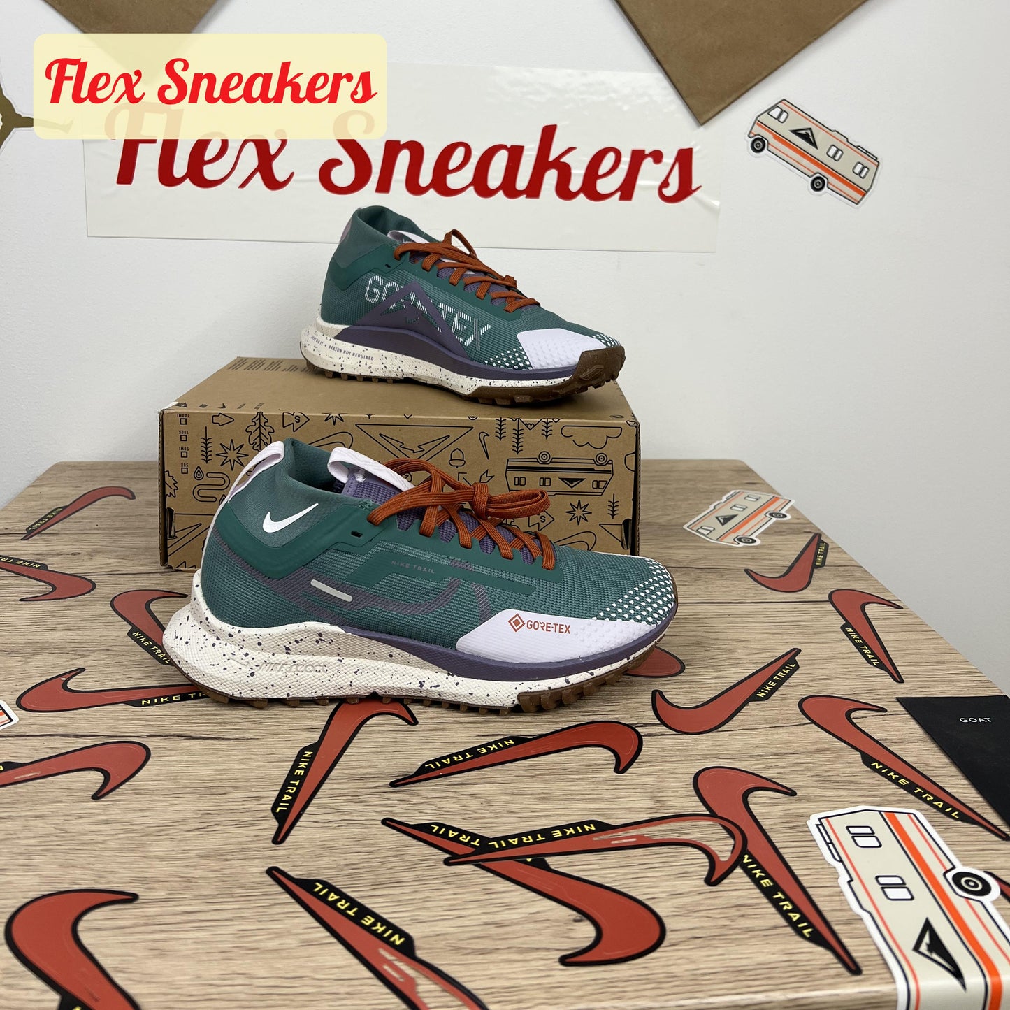 React Pegasus Trail 4 GTX Bicoastal