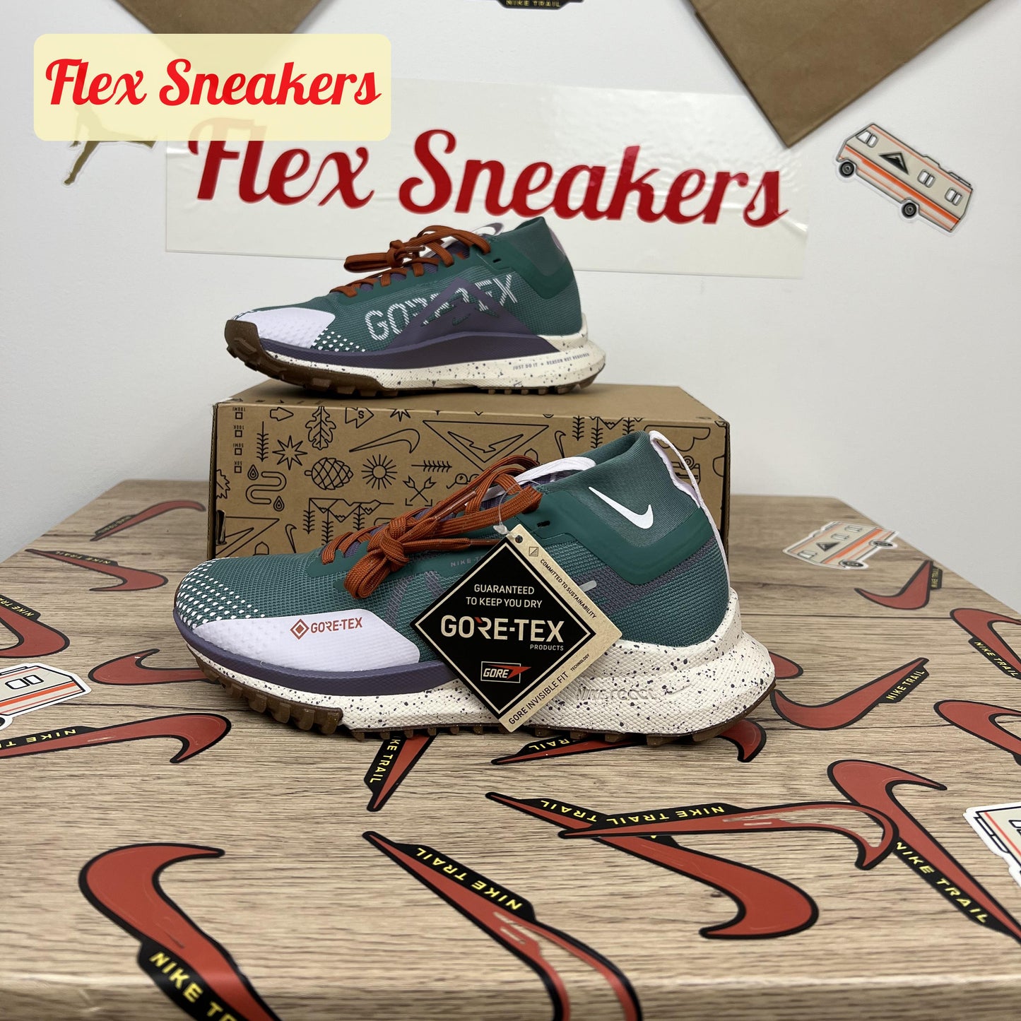 React Pegasus Trail 4 GTX Bicoastal