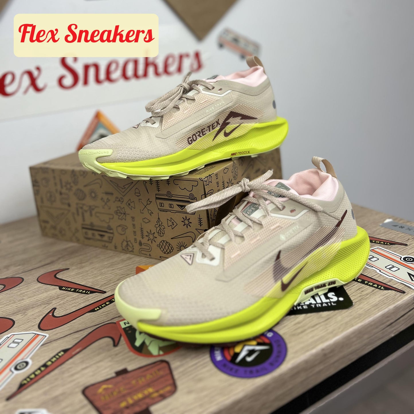 Pegasus Trail 5 GTX Sandrift