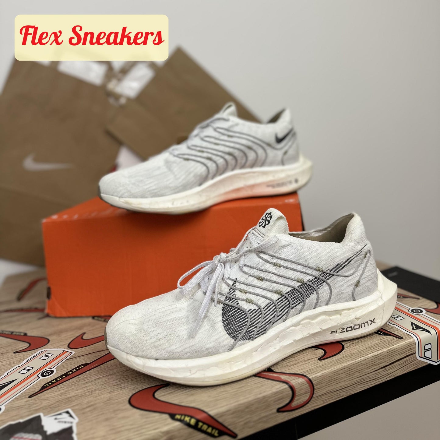 Pegasus Turbo Next Nature White/Iron-Grey