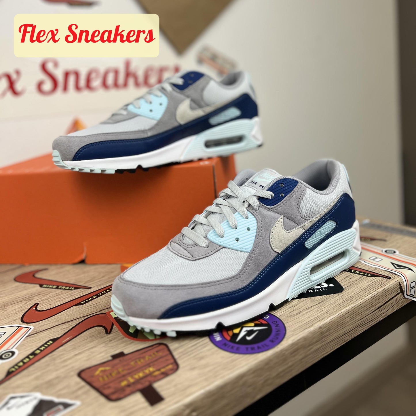 Air Max 90 Pure-Platinum/Court-Blue