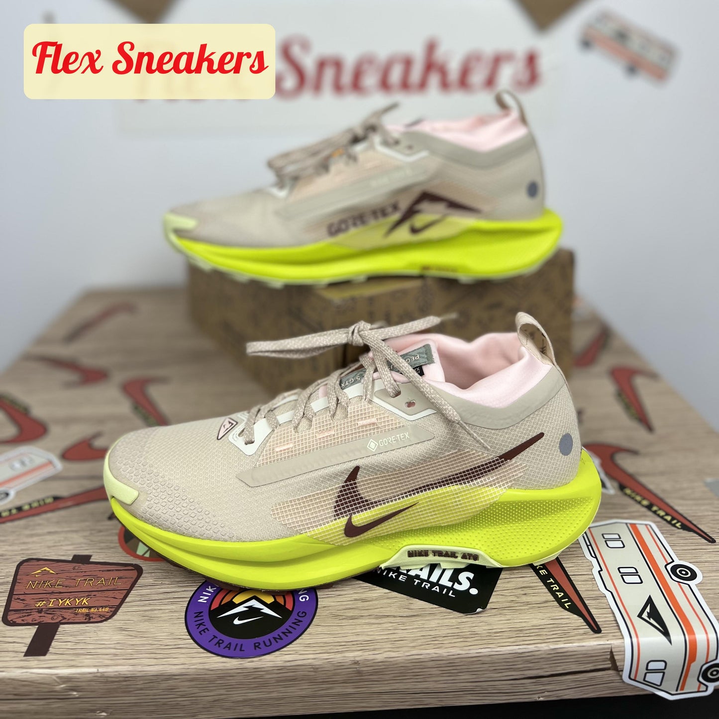 Pegasus Trail 5 GTX Sandrift