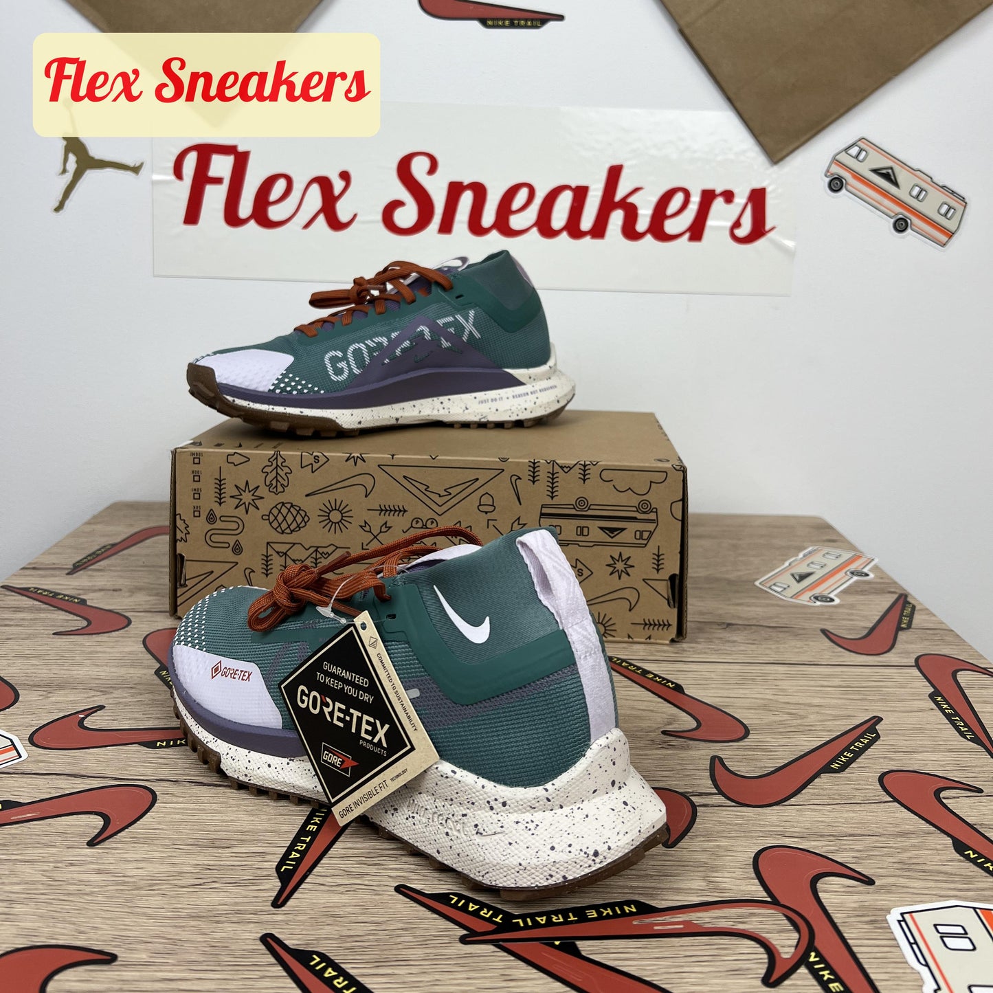React Pegasus Trail 4 GTX Bicoastal