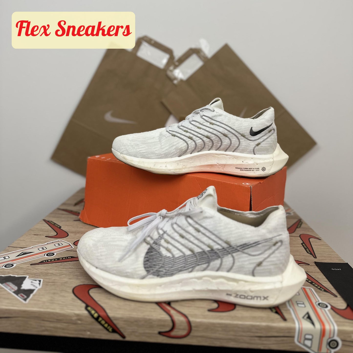 Pegasus Turbo Next Nature White/Iron-Grey