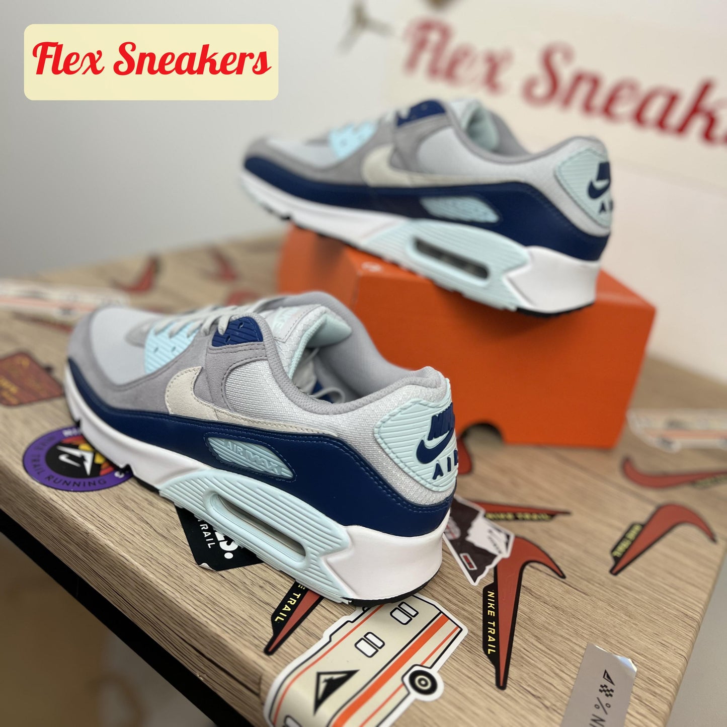 Air Max 90 Pure-Platinum/Court-Blue