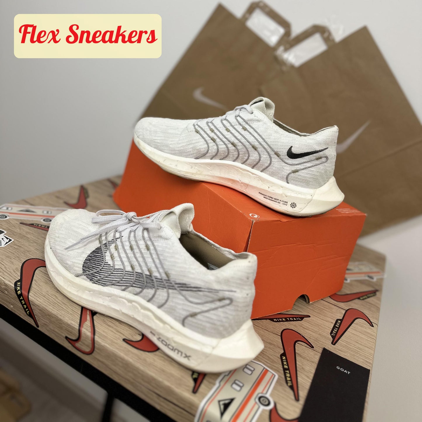 Pegasus Turbo Next Nature White/Iron-Grey