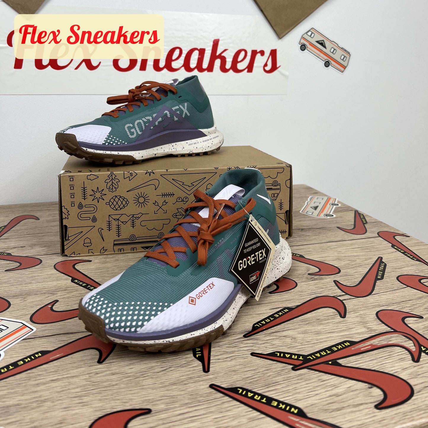 React Pegasus Trail 4 GTX Bicoastal