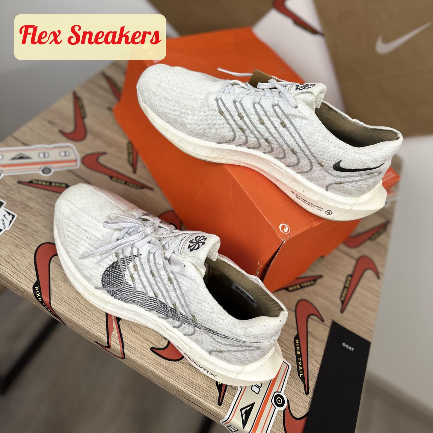 Pegasus Turbo Next Nature White/Iron-Grey