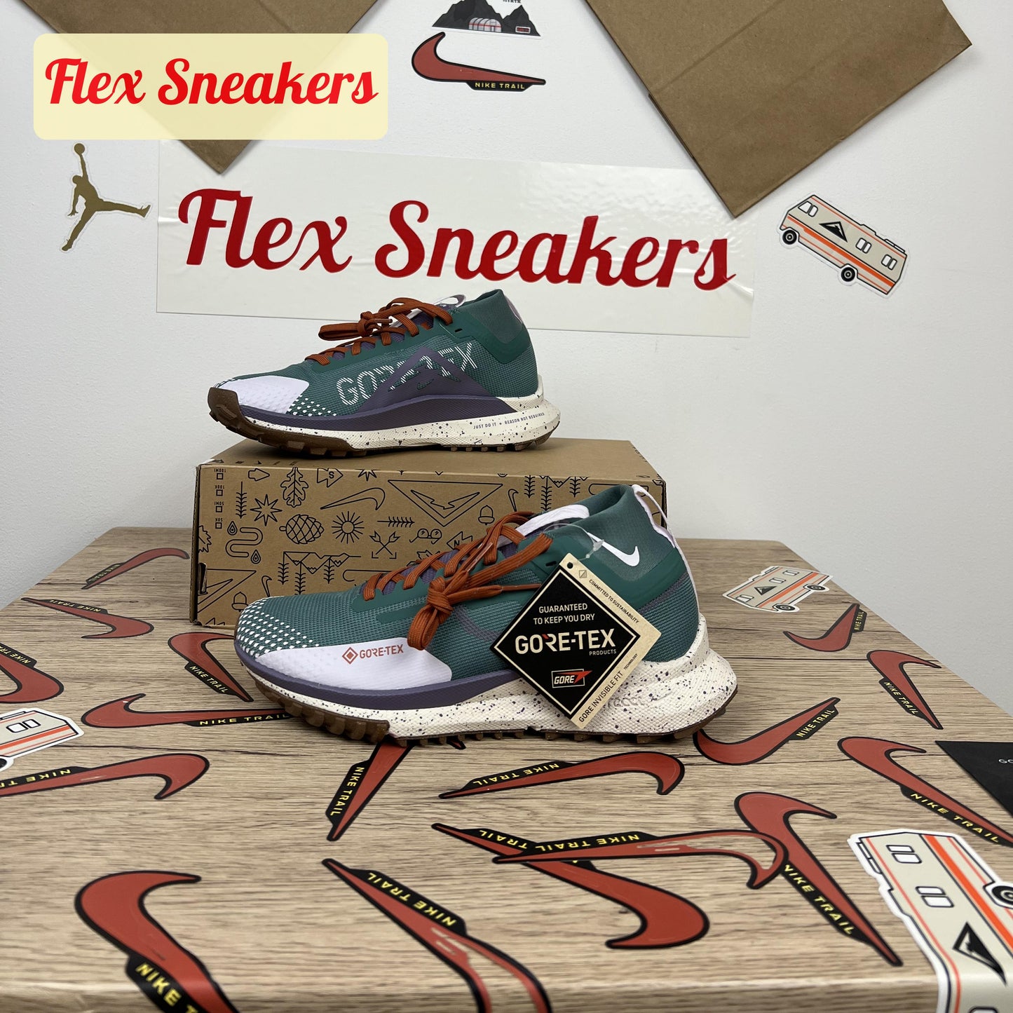 React Pegasus Trail 4 GTX Bicoastal