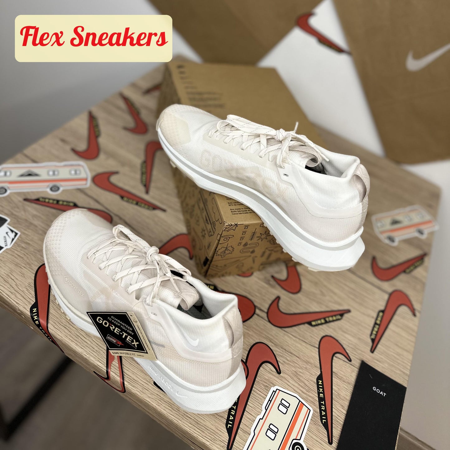 React Pegasus Trail 4 GTX Phantom