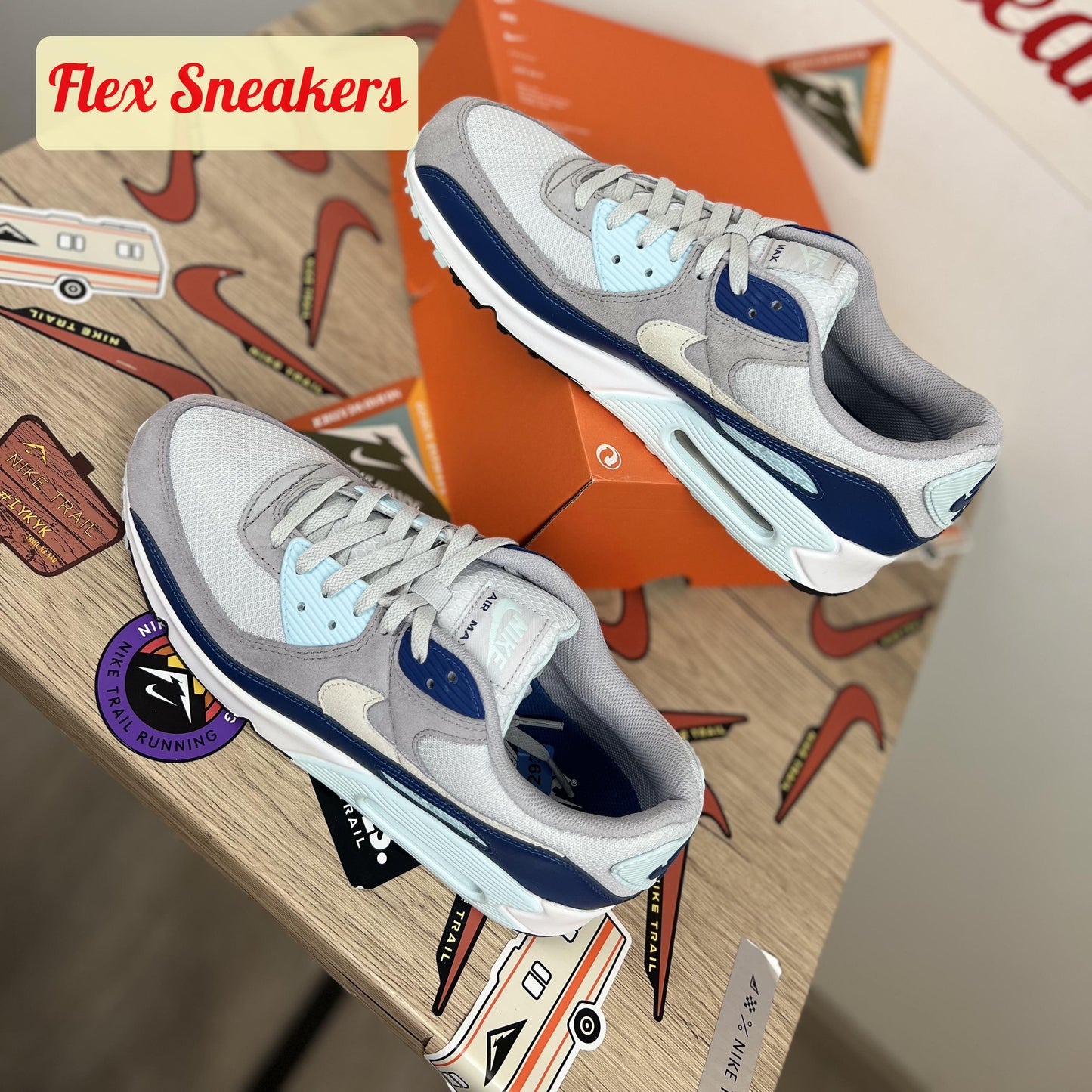 Air Max 90 Pure-Platinum/Court-Blue