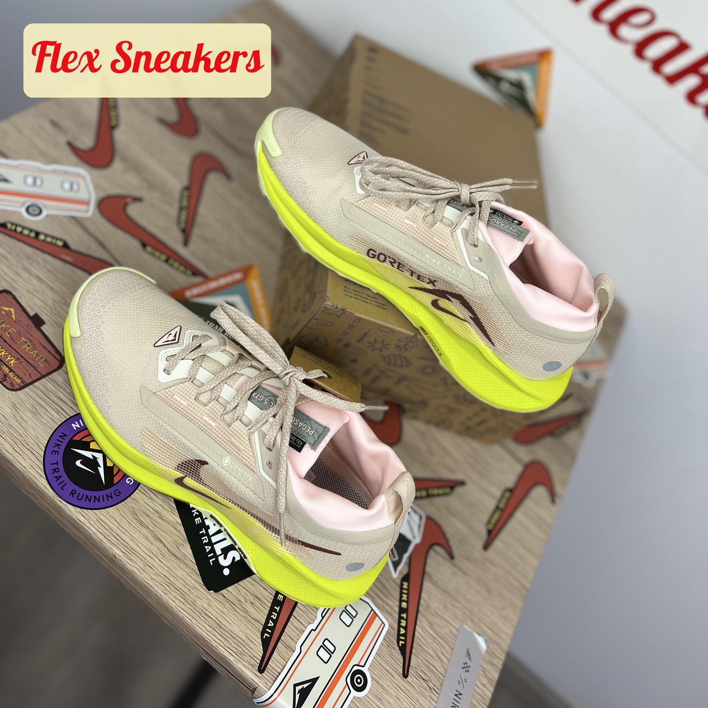 Pegasus Trail 5 GTX Sandrift