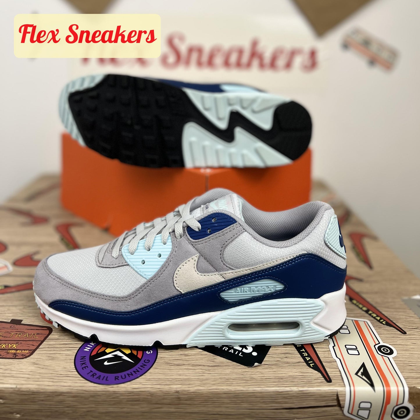 Air Max 90 Pure-Platinum/Court-Blue