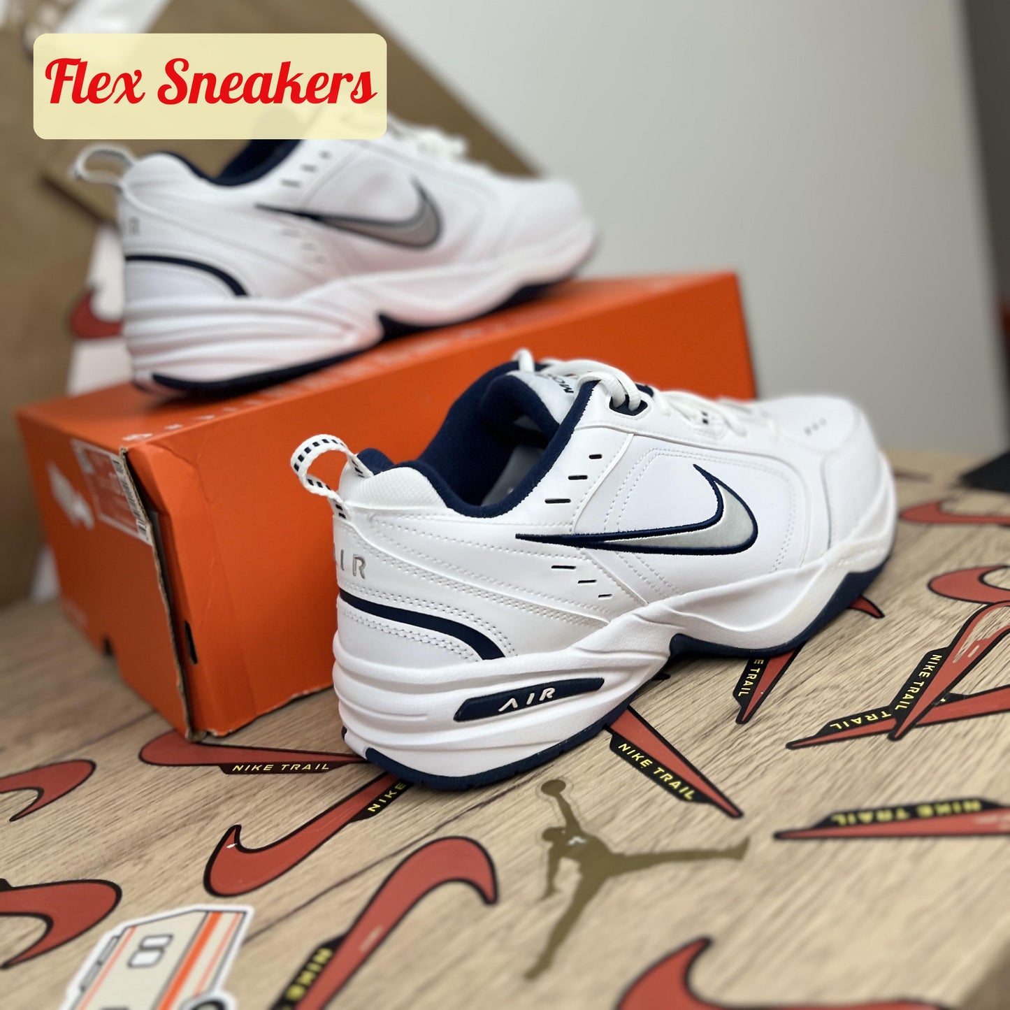 Air Monarch IV (4E) White/Metallic-Silver