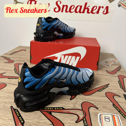 Air Max Plus Black/Blue