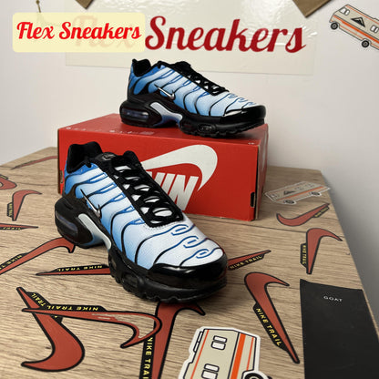 Air Max Plus Black/Blue
