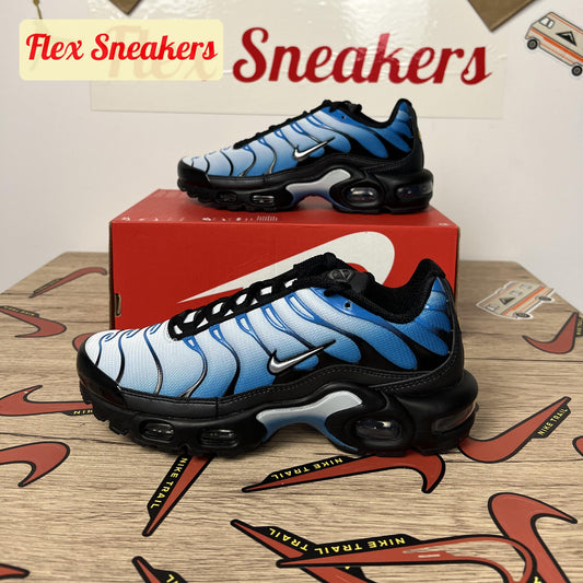 Air Max Plus Black/Blue