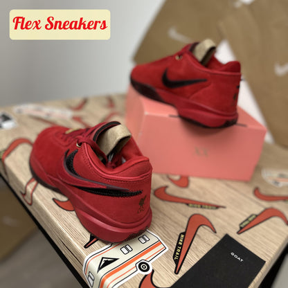 LeBron XX University-Red