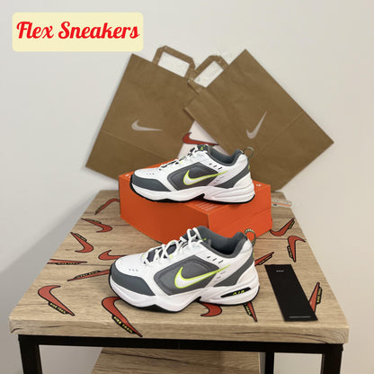 Air Monarch IV White/Grey