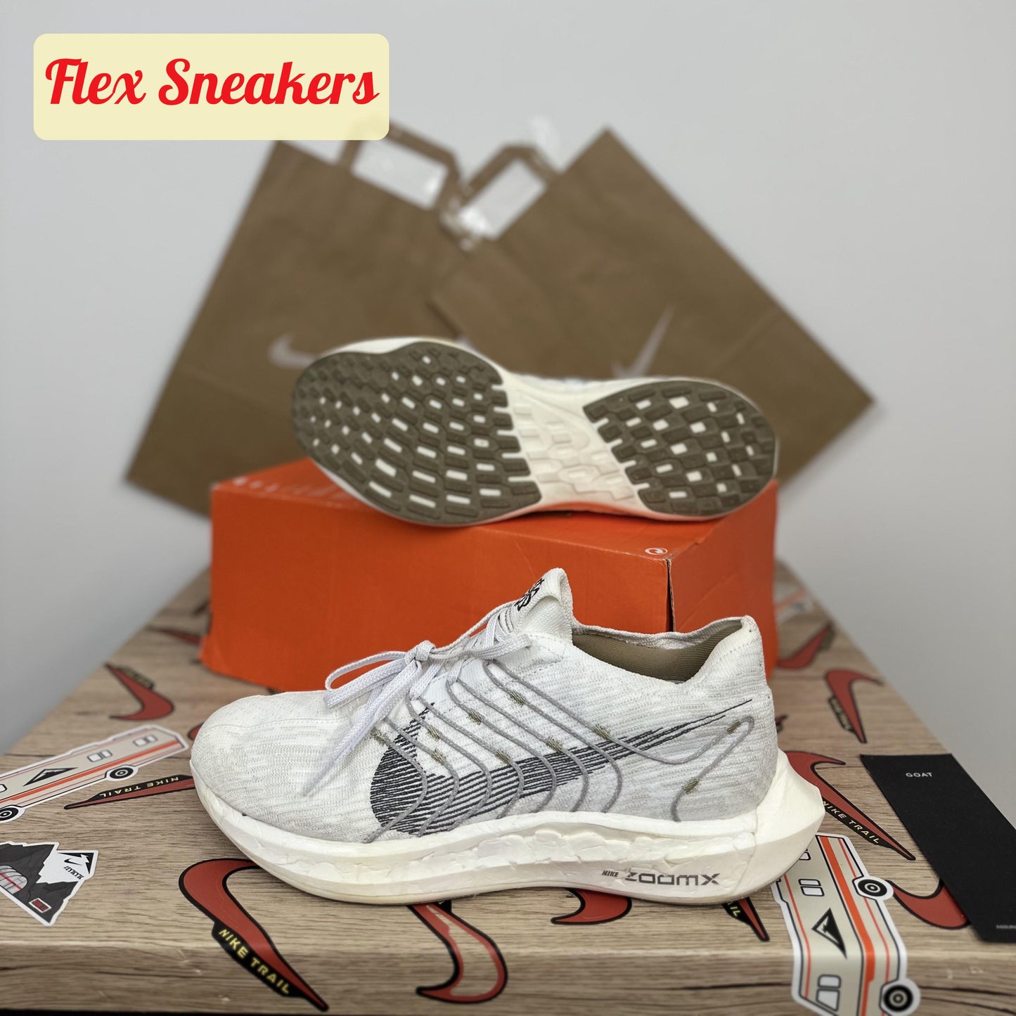 Pegasus Turbo Next Nature White/Iron-Grey